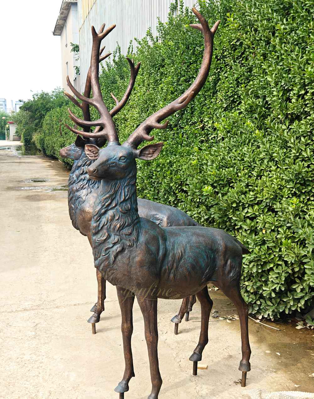 Majestic bronze Whitetail Buck Statue factory supplier