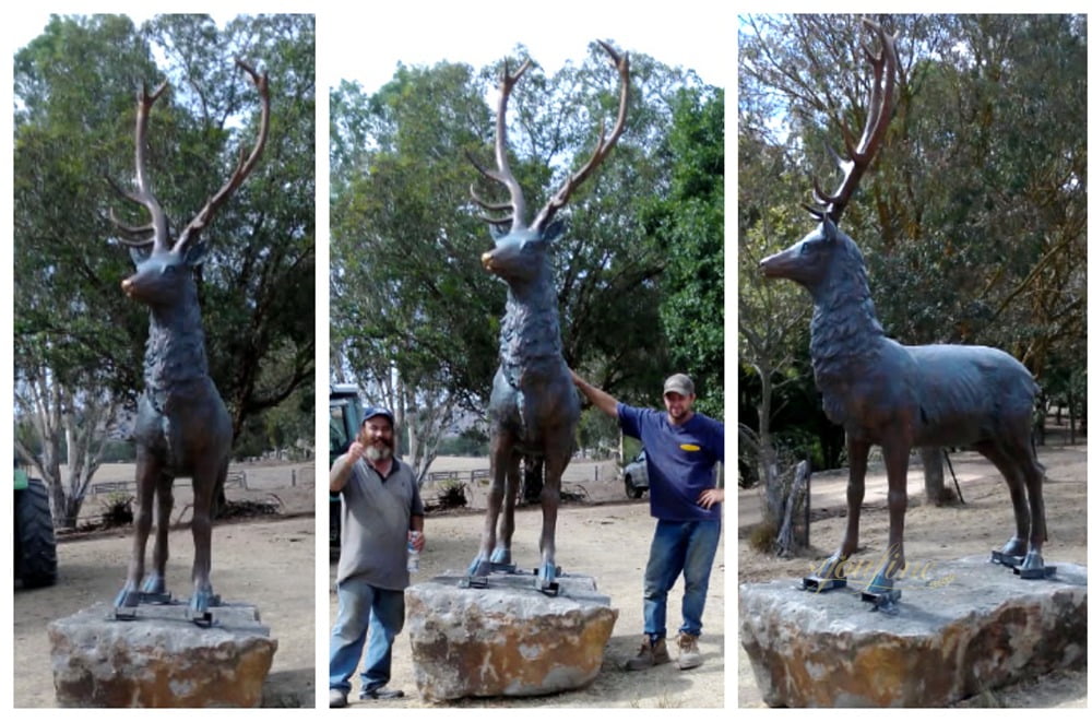 Majestic large Whitetail Buck Statue feedback