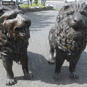 Custom Made Outdoor Life size bronze Lion Statue Supplier BOKK-659