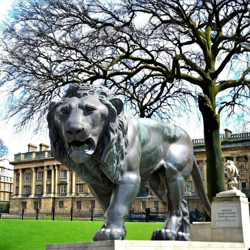 life size Walking Lion Statue