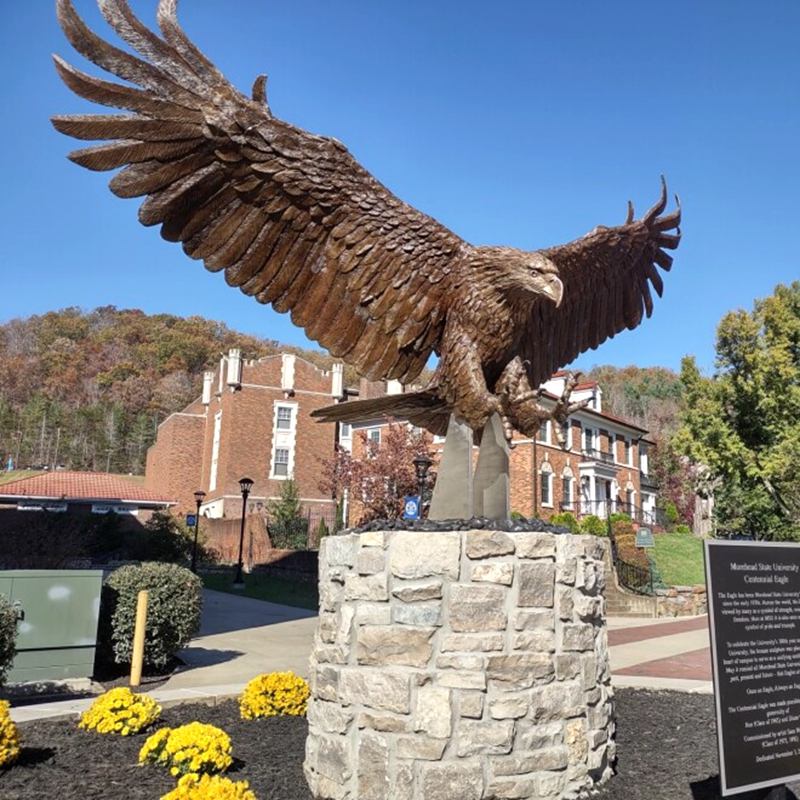 Large Bronze Eagle