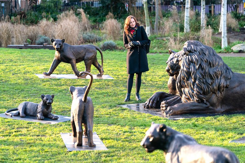 Antique Bronze Family Lion Statue for Garden Decor Suppliers BOKK-863 - Bronze Lion Statues - 1