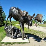 Heritage Park Historical Village bull moose statue