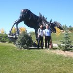 bronze bull moose statue