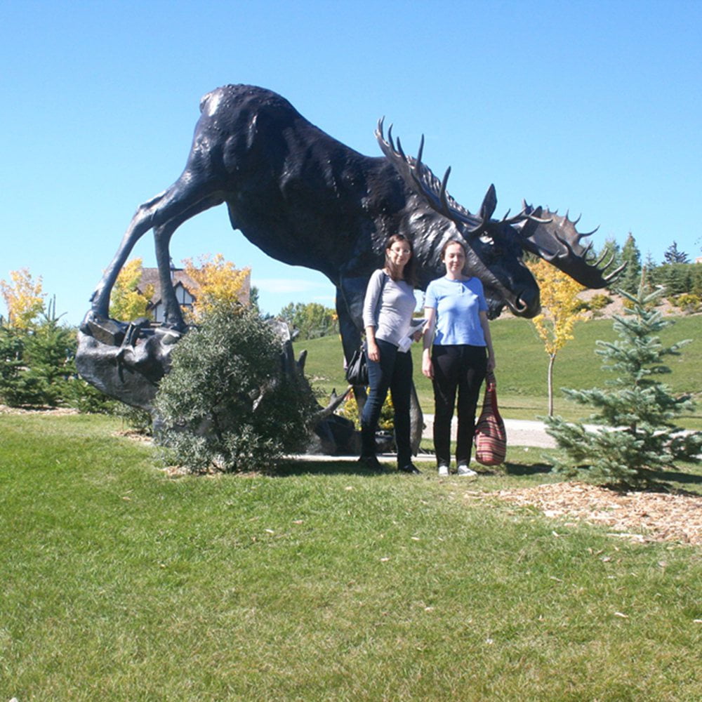 bronze bull moose statue