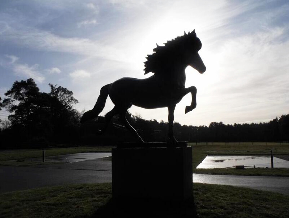 bronze Galloping Horse Statue feedback