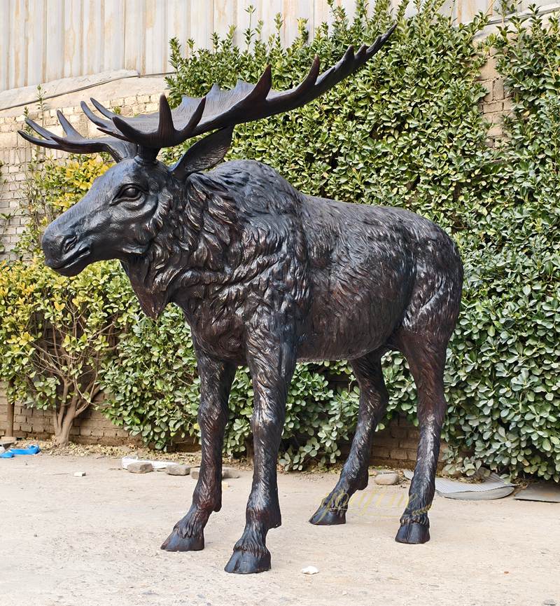 wild animal bronze Life-size Moose Statue in our factory