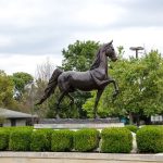 lifesize bronze American Saddlebreds horse Statue