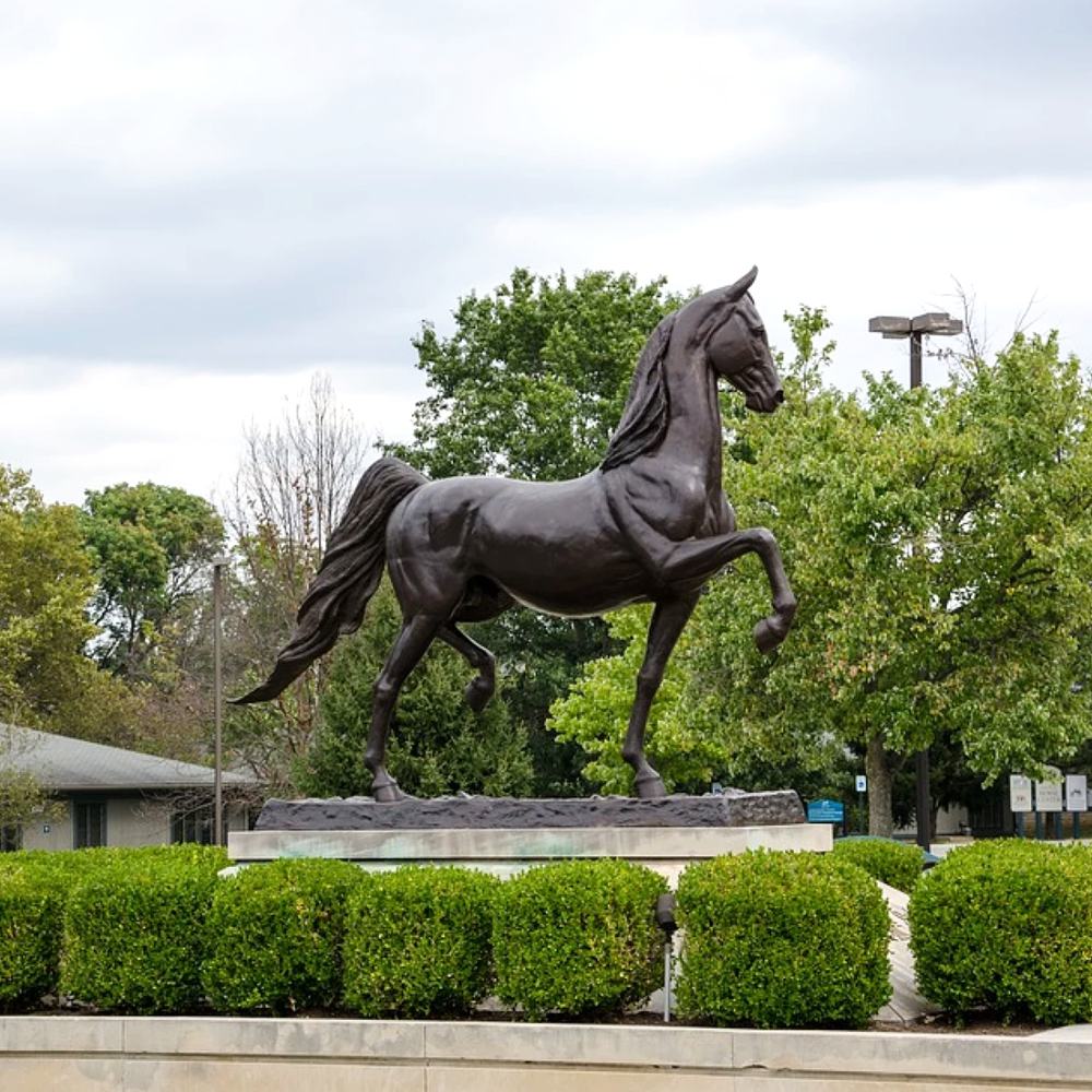 lifesize bronze American Saddlebreds horse Statue