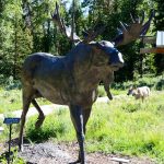 Grand Tetons National Park Large Moose Statue