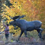 Grand Tetons National Park Moose Statue