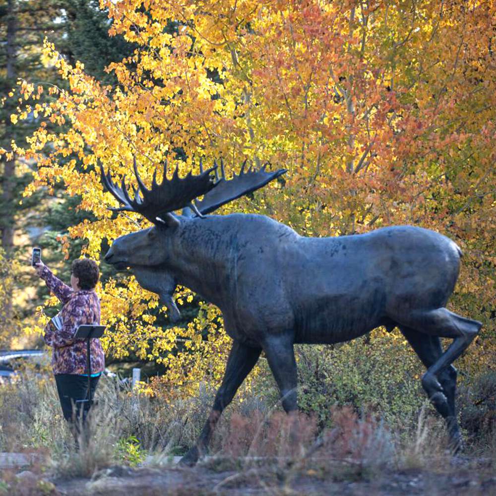 Grand Tetons National Park Moose Statue