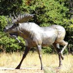 large bronze moose sculpture