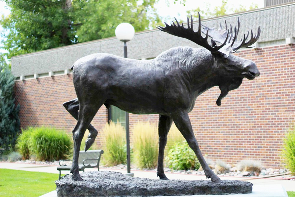 large moose statue in museum