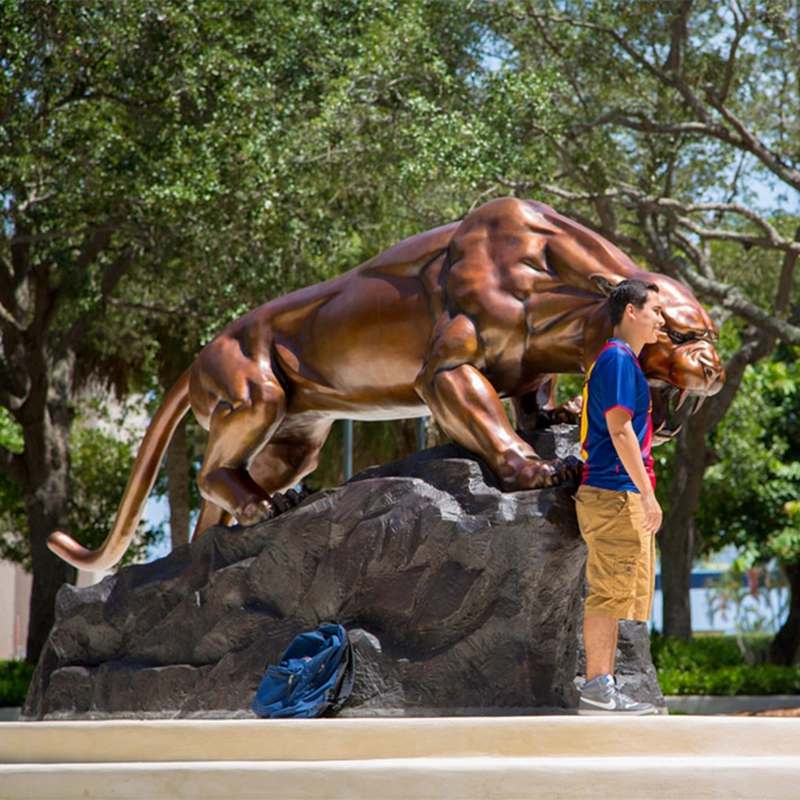 When I Graduated, I Still Want to See You--Bronze Panther Statue. - Customer Story - 2