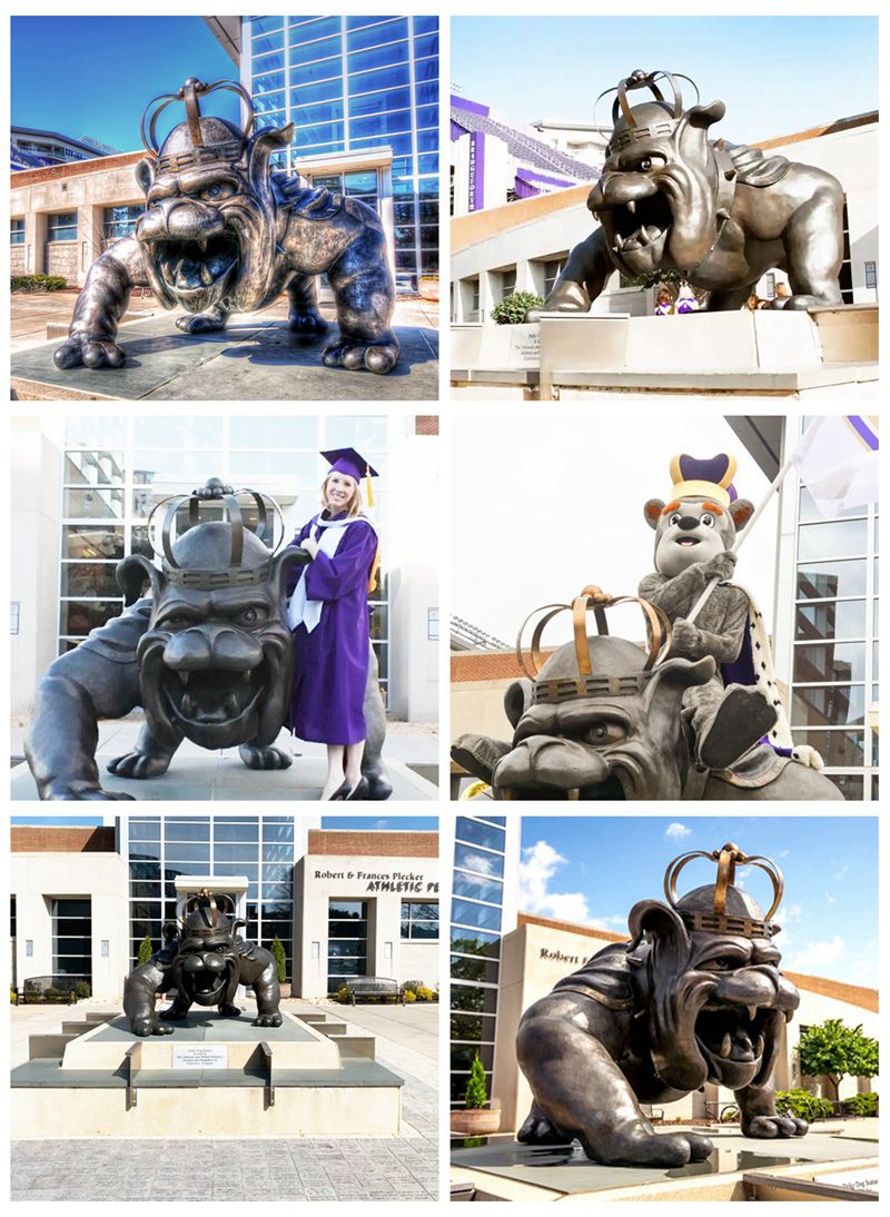 Custom Bronze JMU Duke Dog Statue Square School Decor for Sale BOKK-313 - Bronze Dog Sculpture - 4