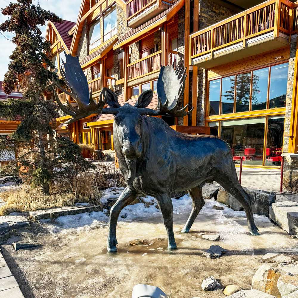 Giant Moose Statue Outside The Ski Resort