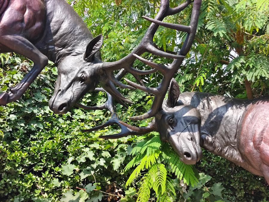 Bronze Fighting Bull Elk Sculpture BOKK-267 - Bronze Deer Sculpture - 4