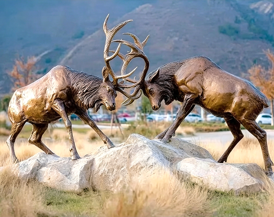 wildlife bronze Fighting Elk Sculpture in the wild