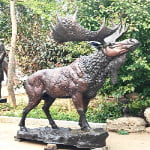 large bronze Moose Garden Statue in our factory