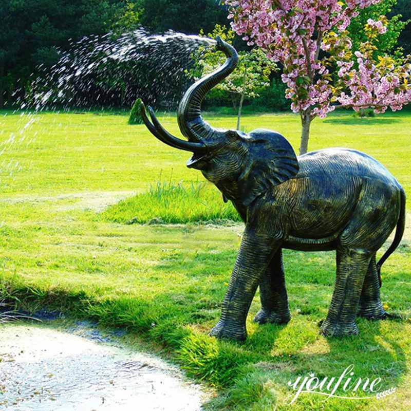 Introduction to Elephant Pool Fountain