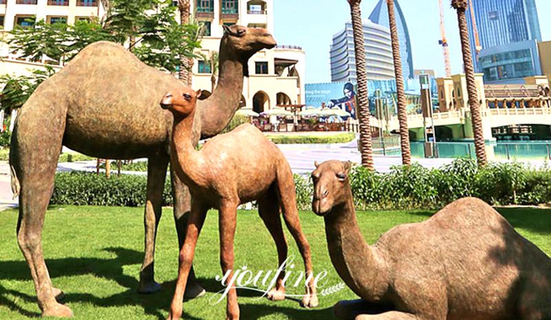 Bronze life-size Camel Statue Garden Decor for Sale BOK1-097 - Bronze Wildlife Sculpture - 6