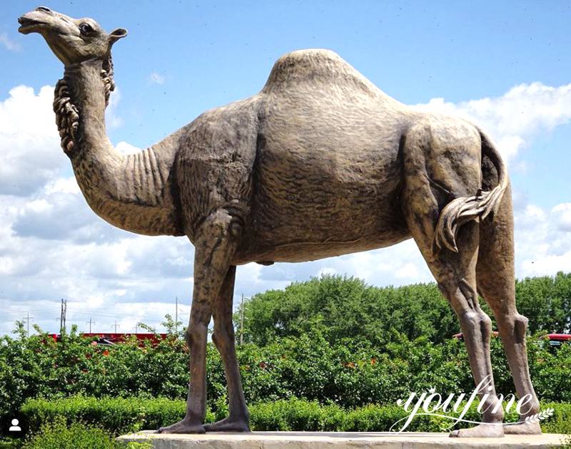 Bronze life-size Camel Statue Garden Decor for Sale BOK1-097 - Bronze Wildlife Sculpture - 1