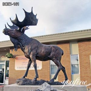 Life-size Bronze Moose Yard Statue Lawn Decor BOK1-161