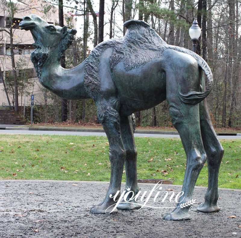 Bronze life-size Camel Statue Garden Decor for Sale BOK1-097 - Bronze Wildlife Sculpture - 3