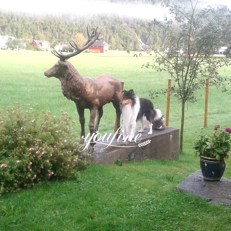 Outdoor Custom Northern Europe Bronze Deer Statue for Farm - Customer Feedback - 7