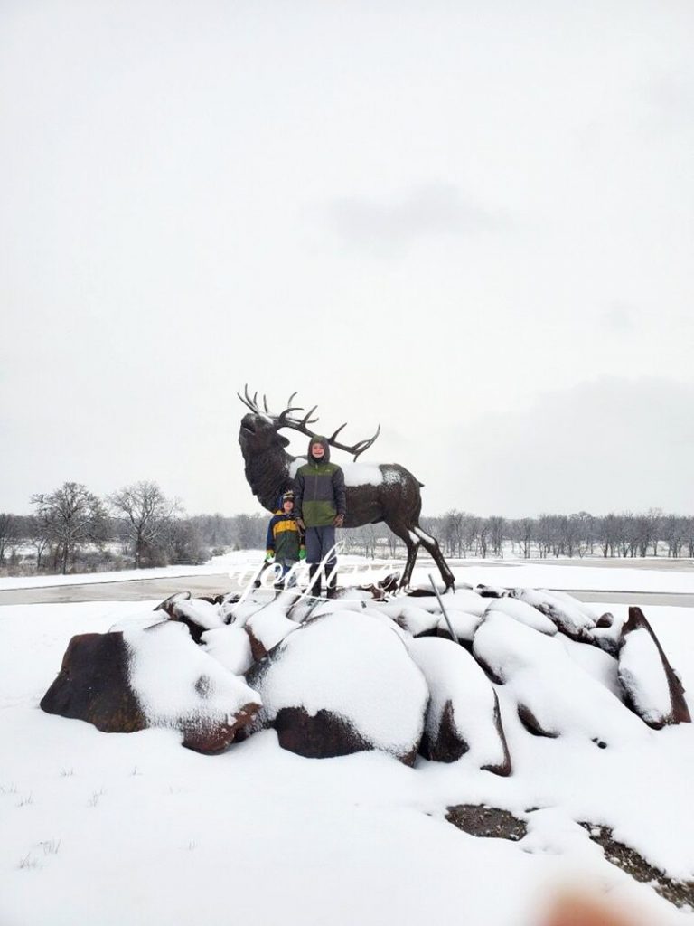 Bronze Elk Sculpture Stands Tall in Ice and Snow - Customer Story - 1