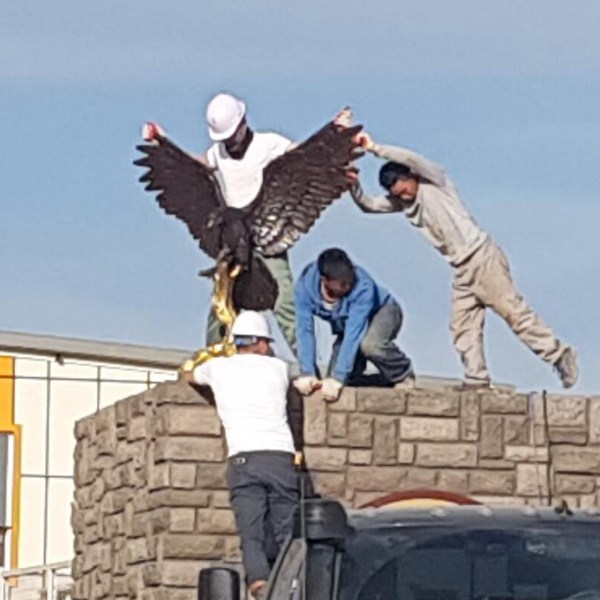 Large Bronze Eagle Statue Manufacturer - YouFine News - 19