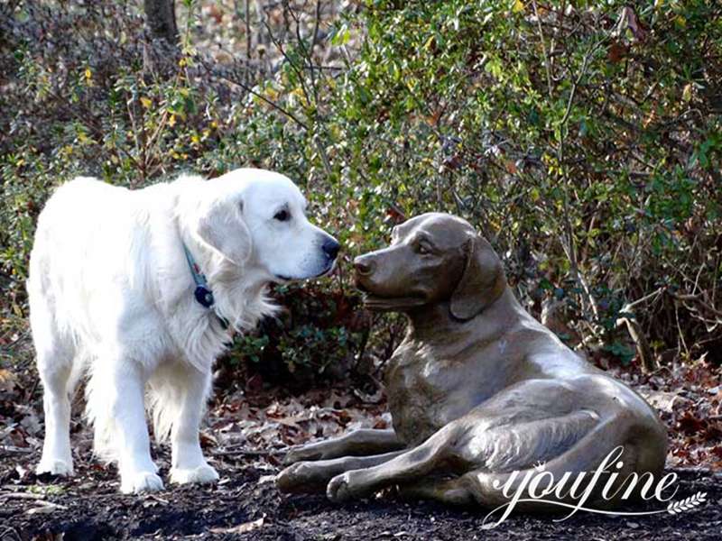 Bronze Golden Retriever Dog Animal Outdoor Statue Supplier BOK1-210 - Bronze Dog Sculpture - 10