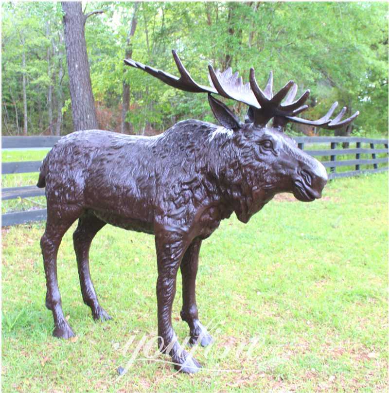 Life-size Bronze Moose Statue Garden Decor for Sale BOK1-329 - Bronze Deer Sculpture - 9