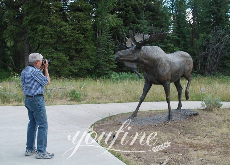 Life-size Bronze Moose Statue Garden Decor for Sale BOK1-329 - Bronze Deer Sculpture - 7