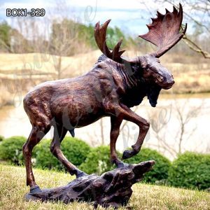 Life-size Bronze Moose Statue Garden Decor for Sale BOK1-329