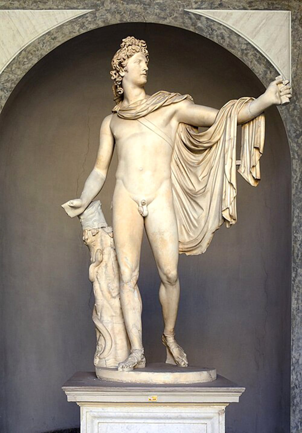 marble Apollo Belvedere