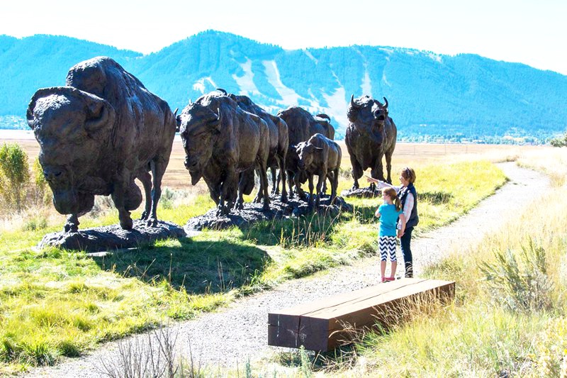 Life-Size Bronze Bison Statue Garden Square Decor Supplier BOKK-503 - Bronze Buffalo Statue - 3