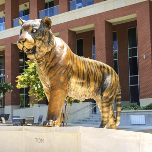 University of Memphis Antique Bronze Tiger Statue BOKK-783 University of Memphis Antique Bronze Tiger Statue BOKK-783