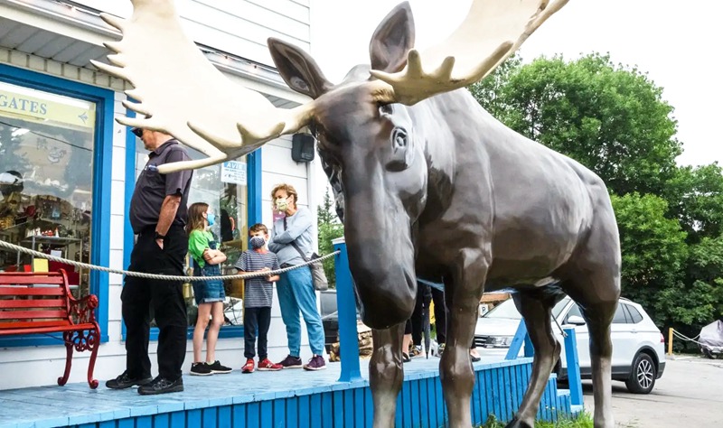 garden bronze moose statue