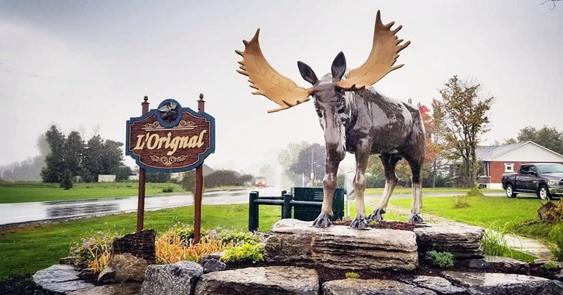 l-orignal-moose-statue