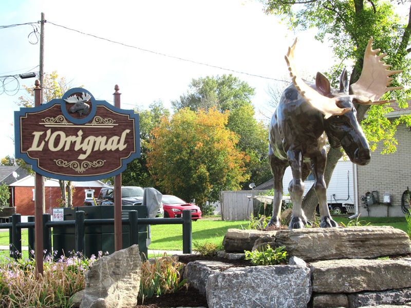 Large Bronze L'Orignal Moose Statue Garden Art Supplies - Bronze Deer Sculpture - 5