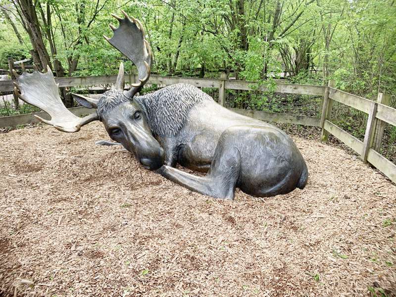 large yard bronze moose statue