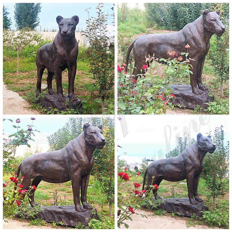 Wildlife Bronze Lioness Garden Statues for Sale - Bronze Lion Statues - 5