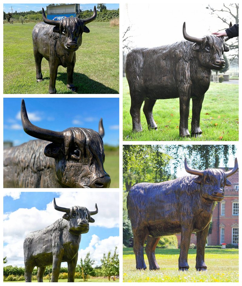 Bronze Lifesize Highland Cow Statue Outdoor Exquisite Rustic Charm Art - Bronze Bull Sculpture - 5