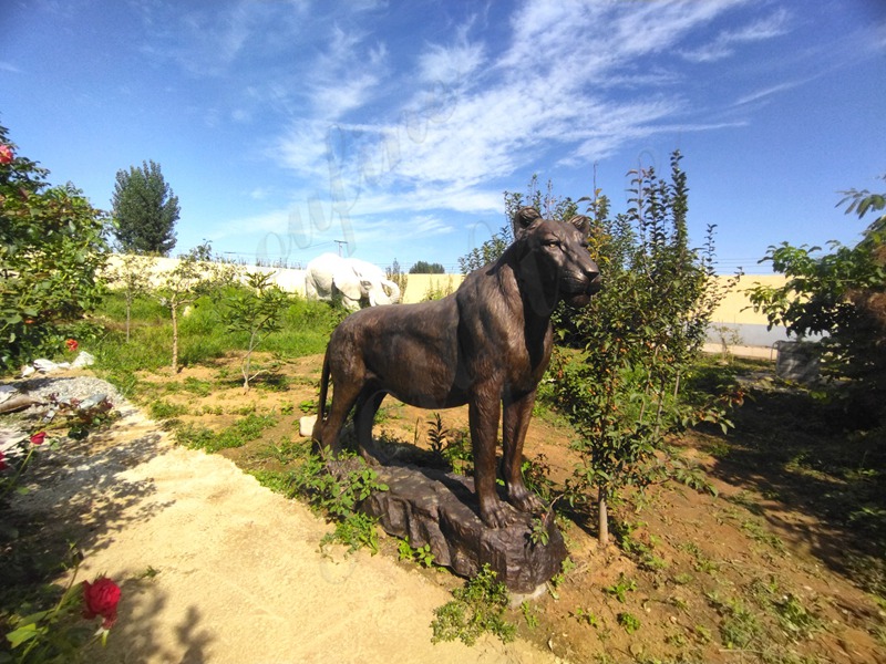Wildlife Garden Bronze Lioness Statue for Sale BOK1-485 - Bronze Lion Statues - 1