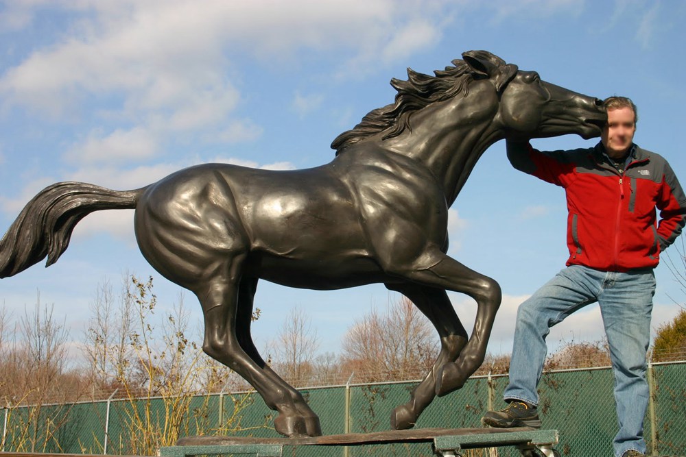 Bronze Horse Statue for Sale -  - 13