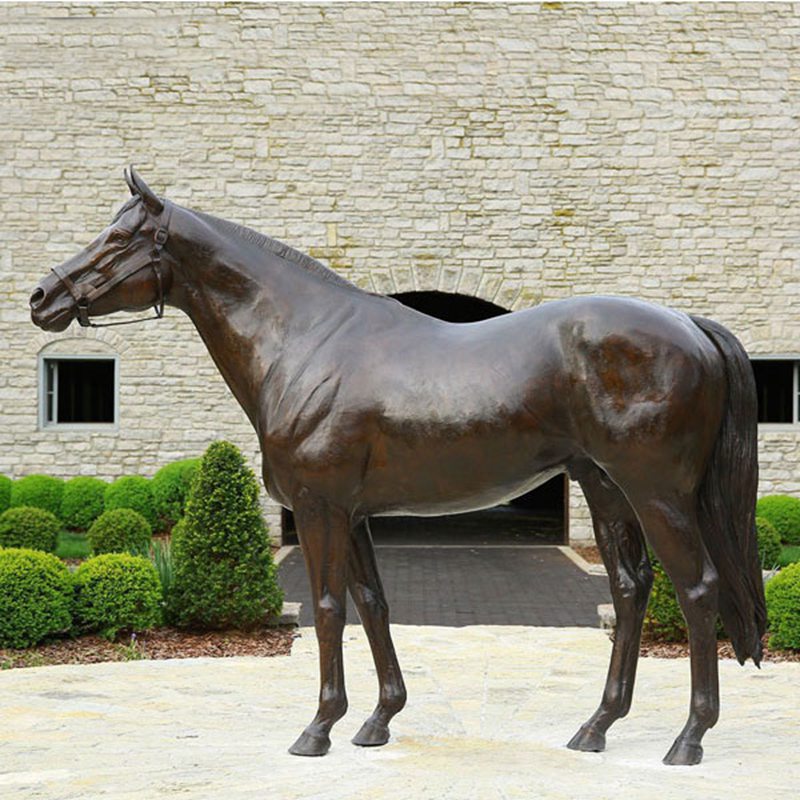 Bronze Horse Statue for Sale -  - 6