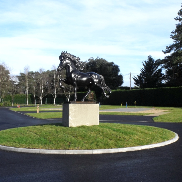 Bronze Horse Statue for Sale -  - 23