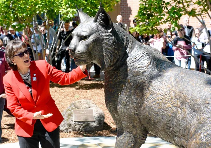 Large Bronze Wildcat Statue Outdoor Garden Decor on Sale BOKK-370 - University & School Sculpture - 2